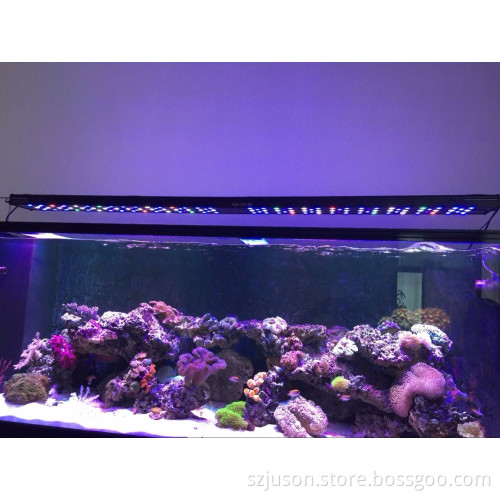 2017 hot selling 250W 48" 4ft intelligent led aquarium light for SPS LPS
